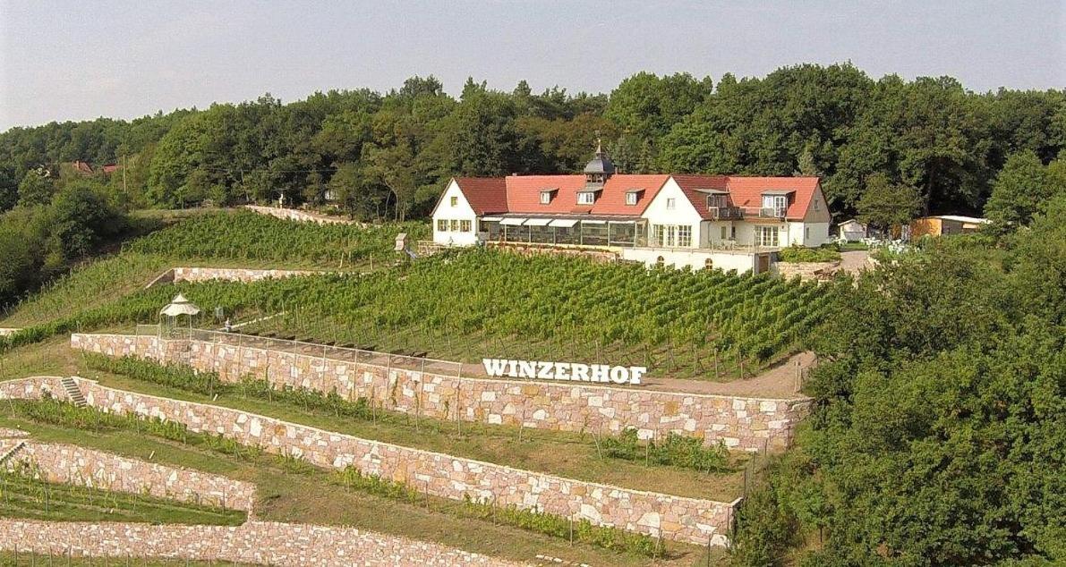 Pension Bella Vista - Winzerhof Golk Meißen Exterior foto