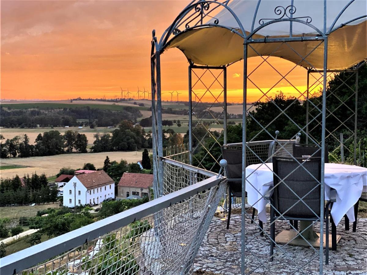 Pension Bella Vista - Winzerhof Golk Meißen Exterior foto